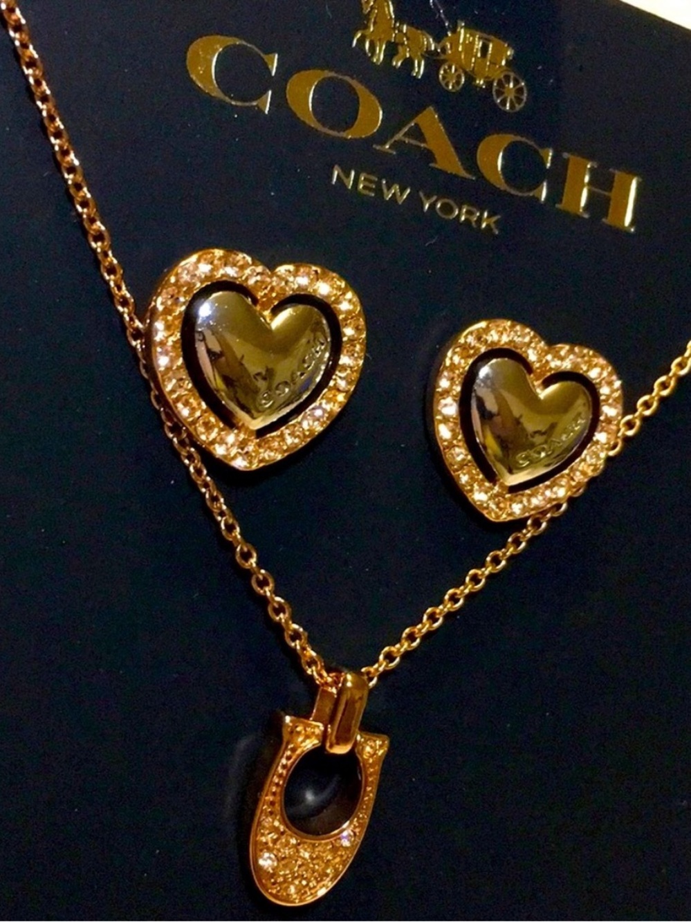 🐴Coach® Stunning Rose Gold Necklace Set🐴